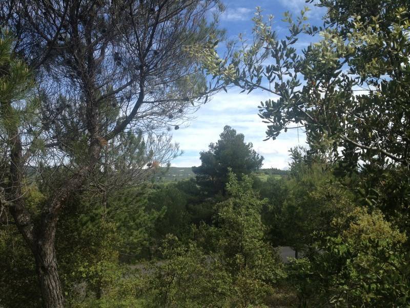 Luberon terrain à bâtir à vendre